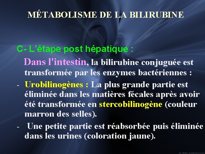 MÉTABOLISME DE LA BILIRUBINE C- L’étape post hépatique : Dans l'intestin, la bilirubine conjuguée