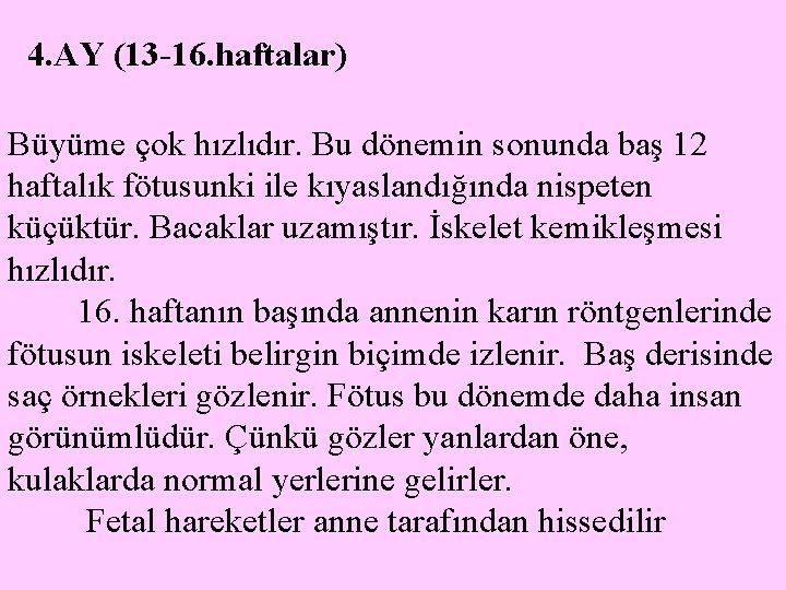 4. AY (13 -16. haftalar) Büyüme çok hızlıdır. Bu dönemin sonunda baş 12 haftalık