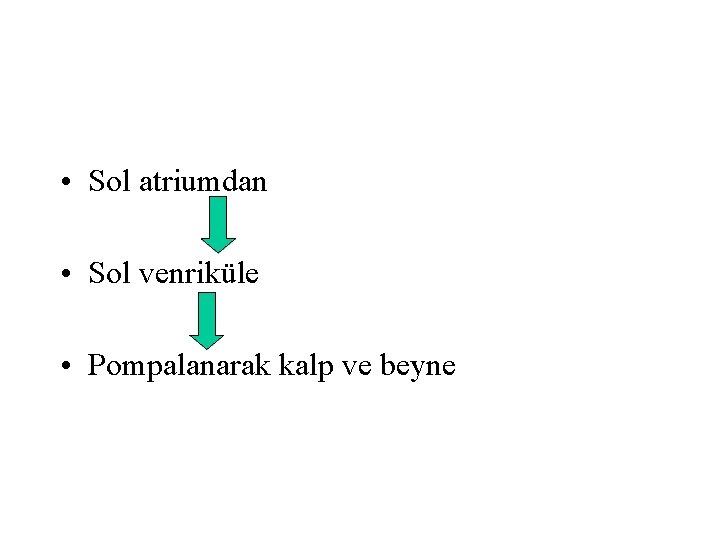  • Sol atriumdan • Sol venriküle • Pompalanarak kalp ve beyne 