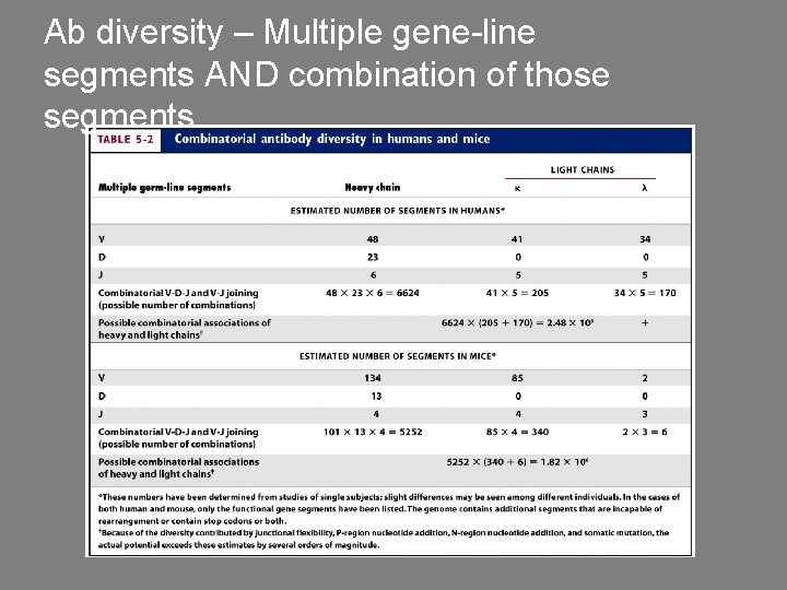 Ab diversity – Multiple gene-line segments AND combination of those segments 