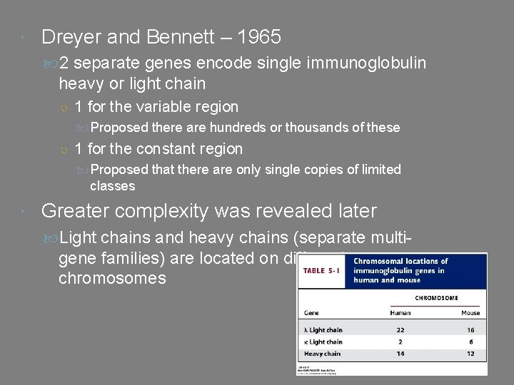  Dreyer and Bennett – 1965 2 separate genes encode single immunoglobulin heavy or