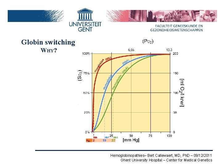 Globin switching WHY? Hemoglobinopathies– Bert Callewaert, MD, Ph. D – 09/12/2011 Ghent University Hospital