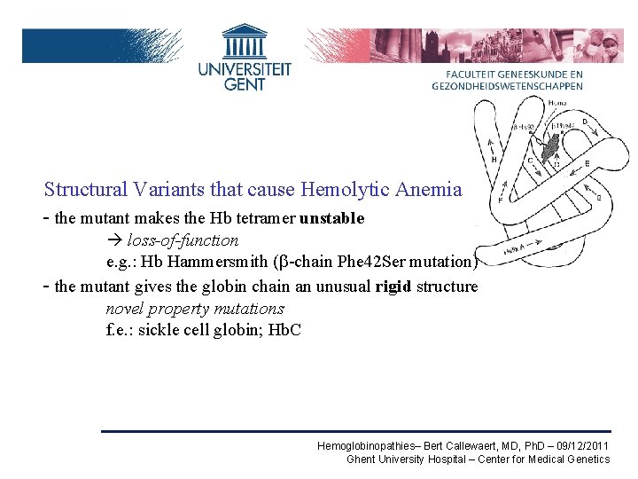 Structural Variants that cause Hemolytic Anemia - the mutant makes the Hb tetramer unstable