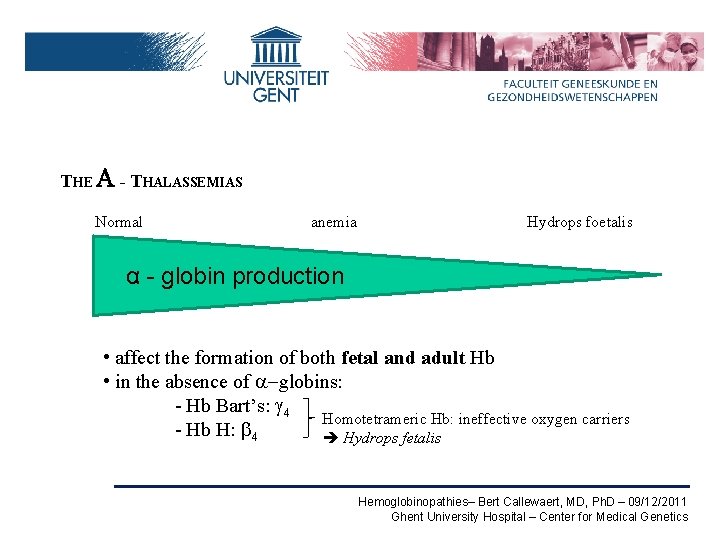 THE A - THALASSEMIAS Normal anemia Hydrops foetalis α - globin production • affect