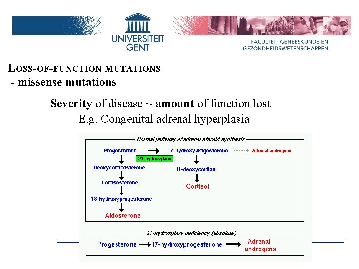 LOSS-OF-FUNCTION MUTATIONS - missense mutations Severity of disease ~ amount of function lost E.