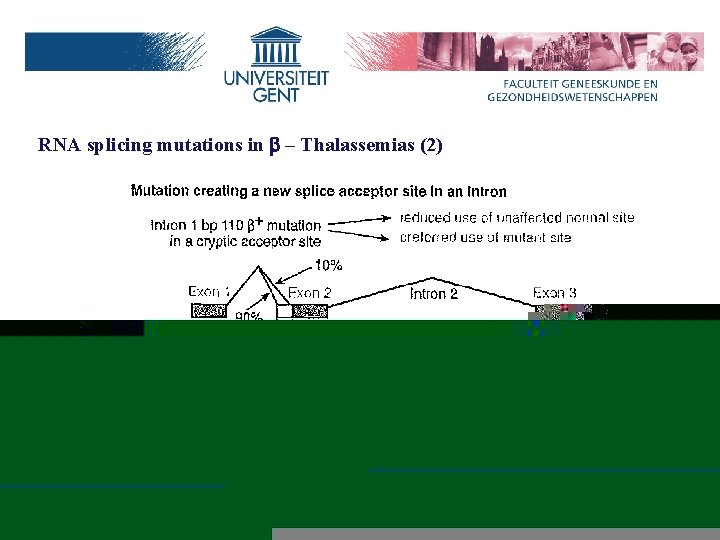 RNA splicing mutations in b – Thalassemias (2) Hemoglobinopathies– Bert Callewaert, MD, Ph. D