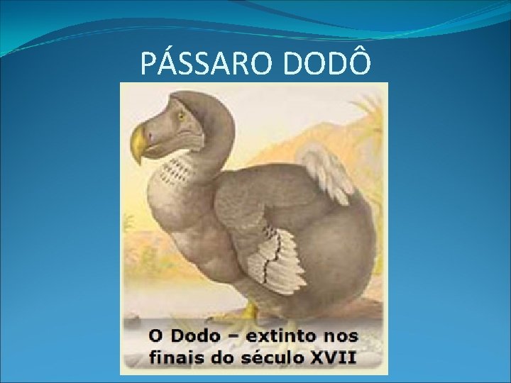 PÁSSARO DODÔ 