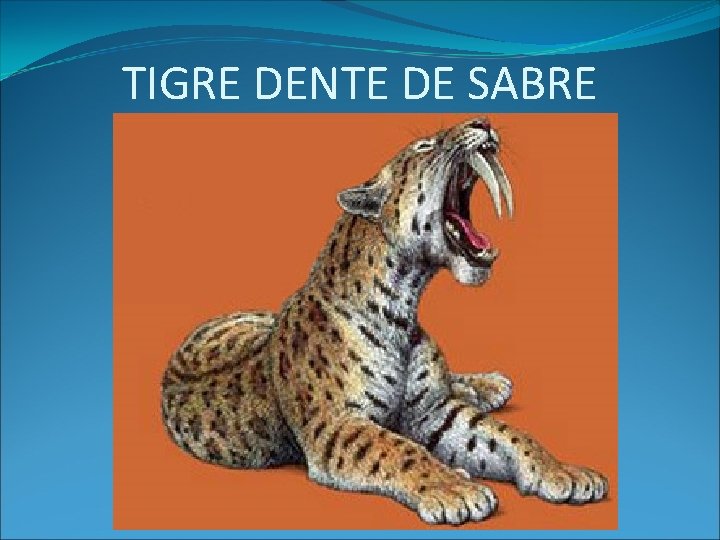 TIGRE DENTE DE SABRE 