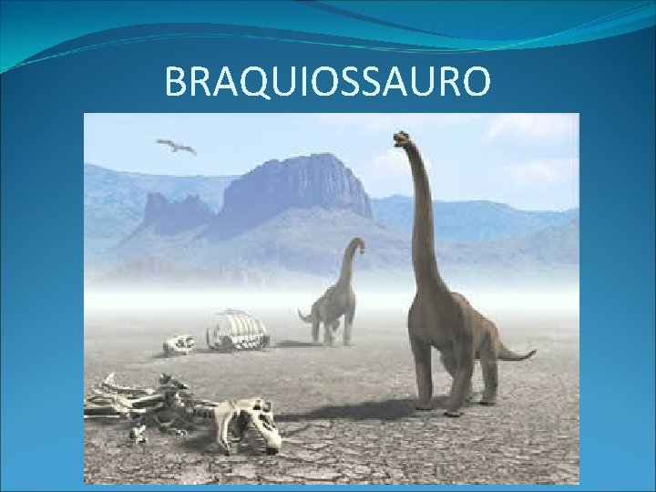 BRAQUIOSSAURO 