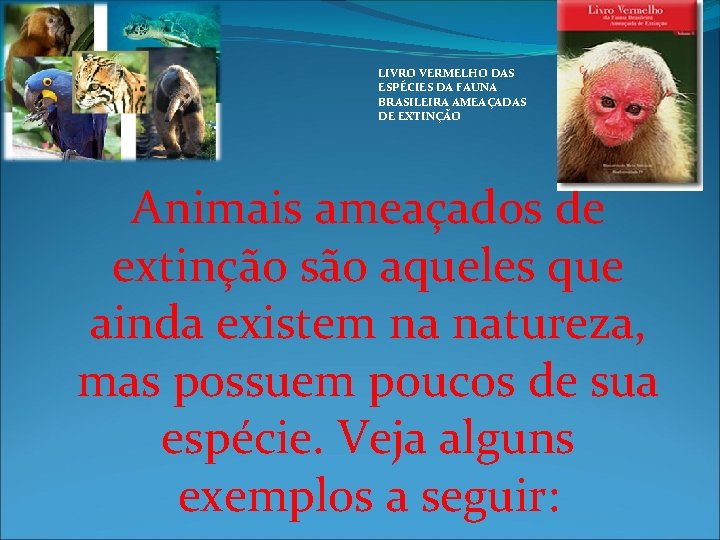 LIVRO VERMELHO DAS ESPÉCIES DA FAUNA BRASILEIRA AMEAÇADAS DE EXTINÇÃO Animais ameaçados de extinção