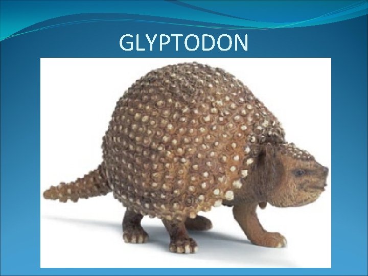 GLYPTODON 