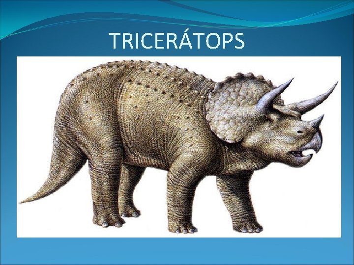 TRICERÁTOPS 