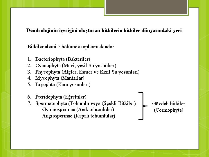 Dendrolojinin içeriğini oluşturan bitkilerin bitkiler dünyasındaki yeri Bitkiler alemi 7 bölümde toplanmaktadır: 1. 2.