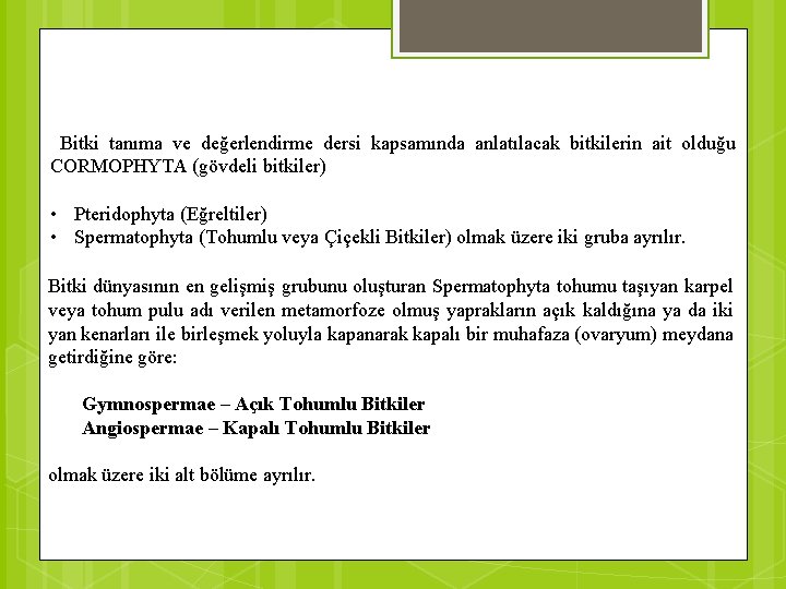 Bitki tanıma ve değerlendirme dersi kapsamında anlatılacak bitkilerin ait olduğu CORMOPHYTA (gövdeli bitkiler) •