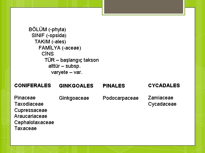 BÖLÜM (-phyta) SINIF (-opsida) TAKIM (-ales) FAMİLYA (-aceae) CİNS TÜR – başlangıç takson alttür