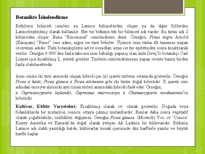 Botanikte İsimlendirme Bitkilerin bilimsel isimleri ya Latince kelimelerden oluşur ya da diğer fiillerden Latinceleştirilmiş