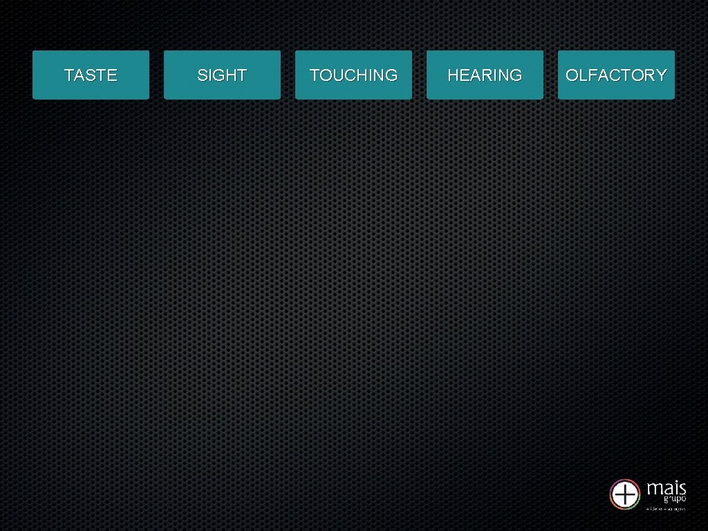 TASTE SIGHT TOUCHING HEARING OLFACTORY 