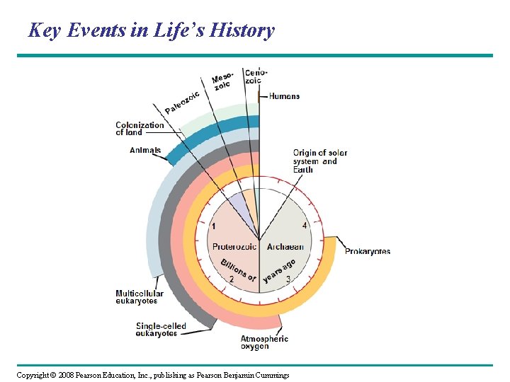 Key Events in Life’s History Copyright © 2008 Pearson Education, Inc. , publishing as
