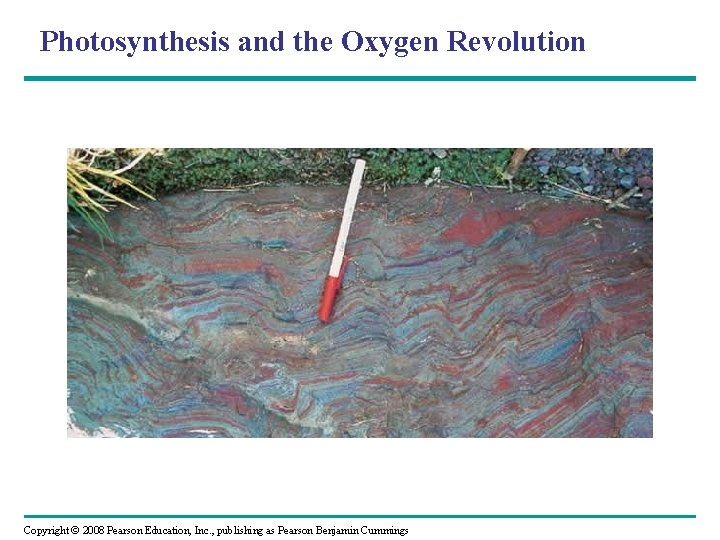 Photosynthesis and the Oxygen Revolution Copyright © 2008 Pearson Education, Inc. , publishing as
