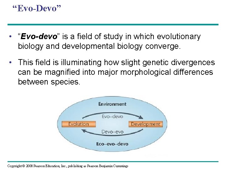 “Evo-Devo” • “Evo-devo” is a field of study in which evolutionary biology and developmental