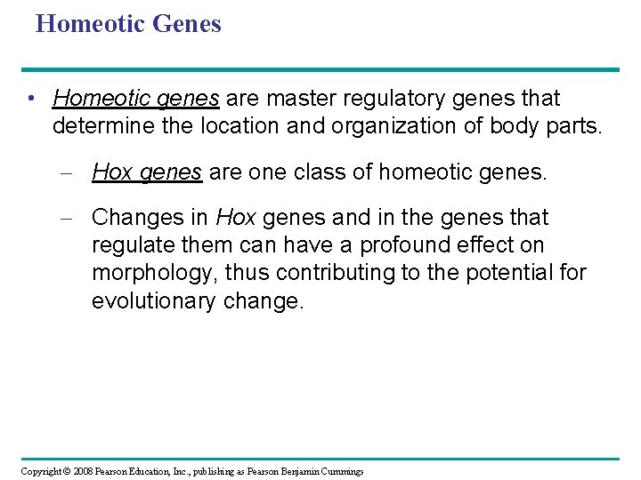 Homeotic Genes • Homeotic genes are master regulatory genes that determine the location and