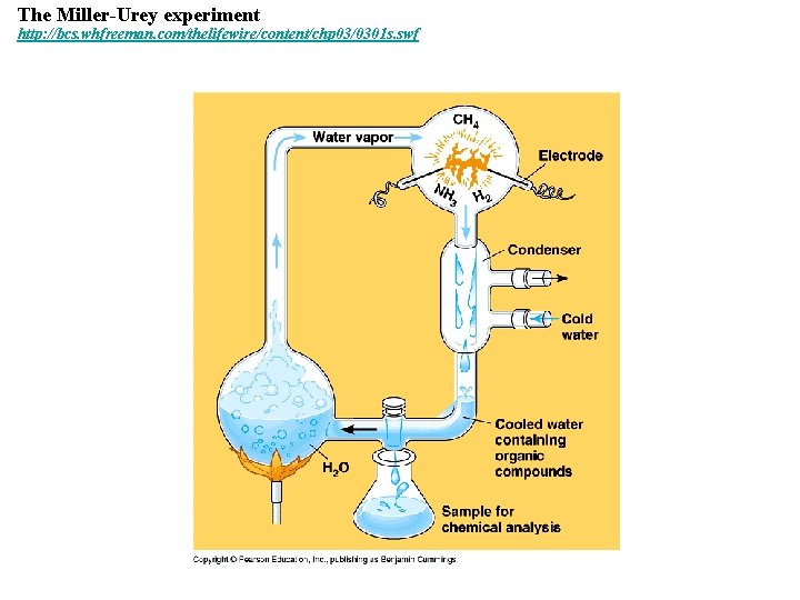 The Miller-Urey experiment http: //bcs. whfreeman. com/thelifewire/content/chp 03/0301 s. swf 