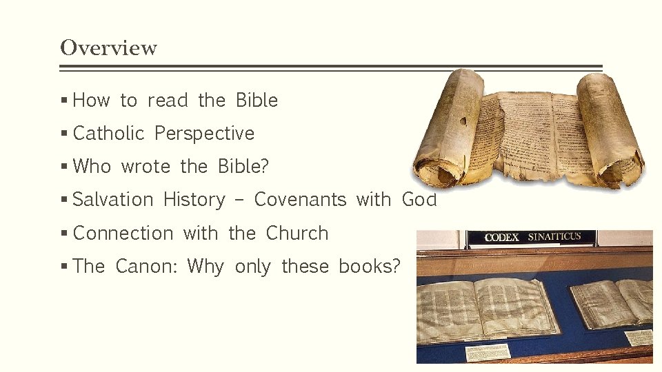 Overview § How to read the Bible § Catholic Perspective § Who wrote the