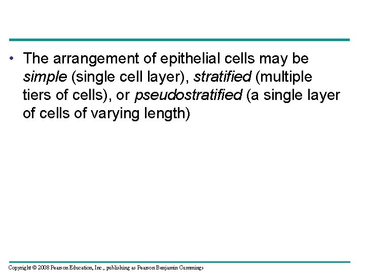  • The arrangement of epithelial cells may be simple (single cell layer), stratified