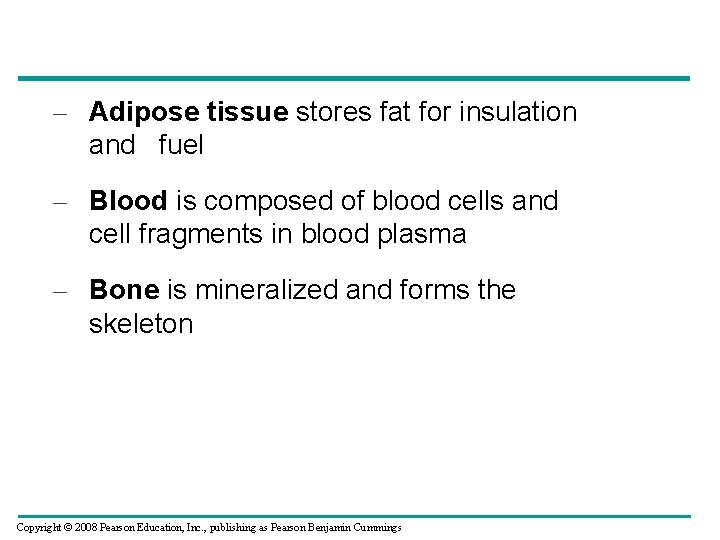 – Adipose tissue stores fat for insulation and fuel – Blood is composed of