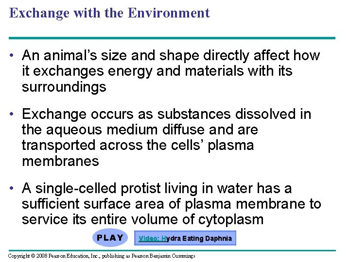 Exchange with the Environment • An animal’s size and shape directly affect how it