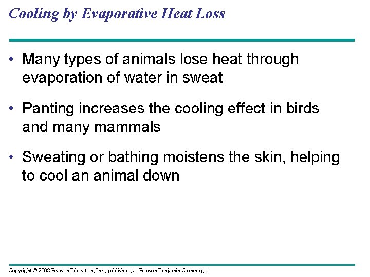 Cooling by Evaporative Heat Loss • Many types of animals lose heat through evaporation