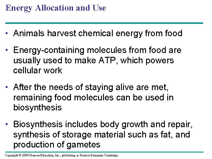 Energy Allocation and Use • Animals harvest chemical energy from food • Energy-containing molecules