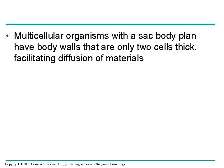 • Multicellular organisms with a sac body plan have body walls that are