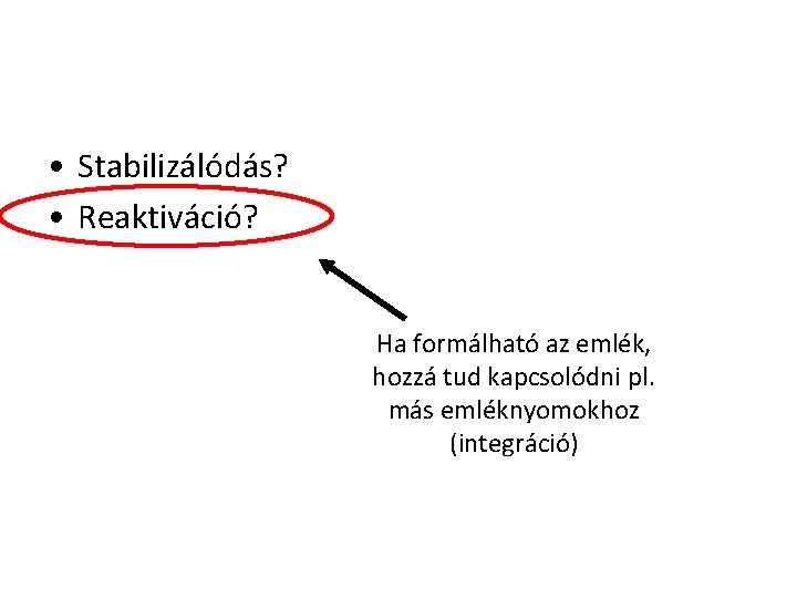  • Stabilizálódás? • Reaktiváció? Ha formálható az emlék, hozzá tud kapcsolódni pl. más