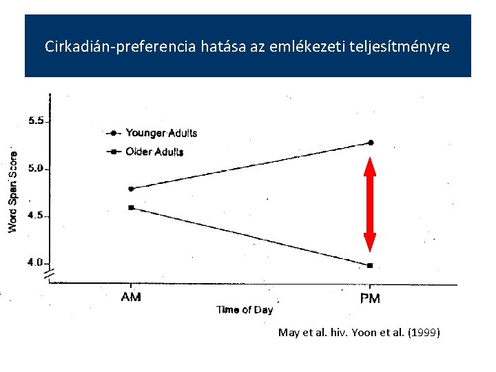 Cirkadián-preferencia hatása az emlékezeti teljesítményre May et al. hiv. Yoon et al. (1999) 