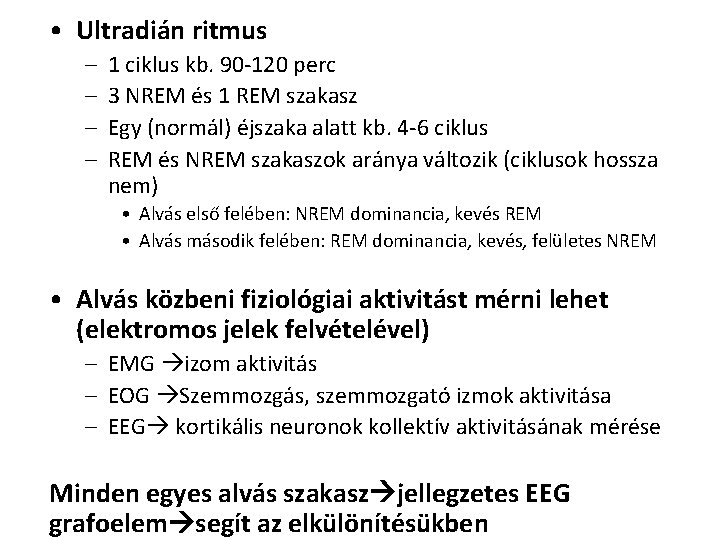  • Ultradián ritmus – – 1 ciklus kb. 90 -120 perc 3 NREM