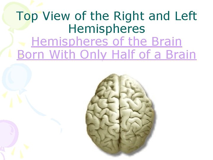 Top View of the Right and Left Hemispheres of the Brain Born With Only