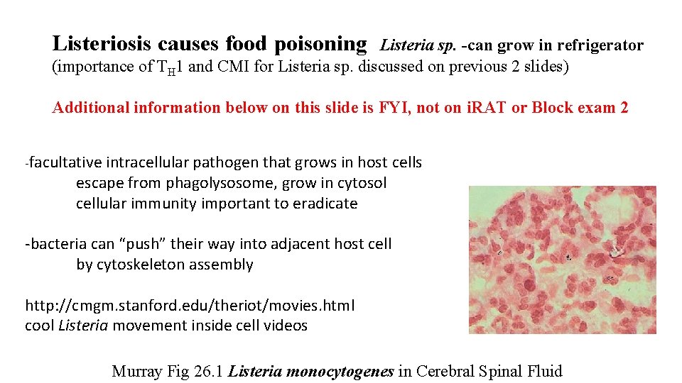 Listeriosis causes food poisoning Listeria sp. -can grow in refrigerator (importance of TH 1