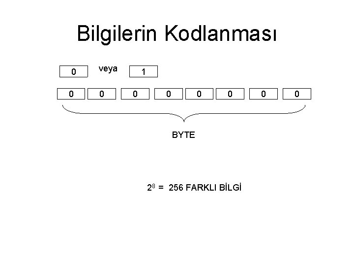 Bilgilerin Kodlanması 0 0 veya 0 1 0 0 BYTE 28 = 256 FARKLI