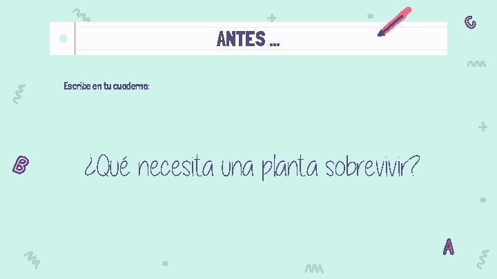 ANTES … Escribe en tu cuaderno: ¿Qué necesita una planta sobrevivir? 