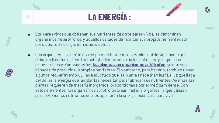 LA ENERGÍA : ● Los seres vivos que obtienen sus nutrientes de otros seres