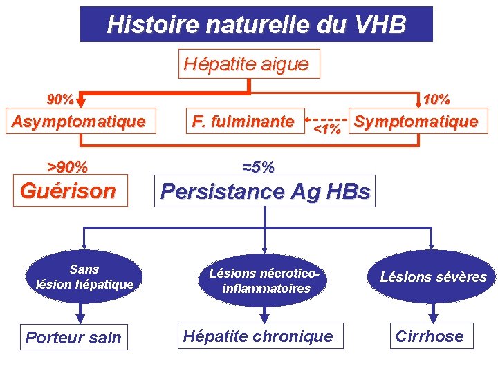 Histoire naturelle du VHB Hépatite aigue 90% Asymptomatique >90% Guérison Sans lésion hépatique Porteur Histoire naturelle du VHB Hépatite aigue 90% Asymptomatique >90% Guérison Sans lésion hépatique Porteur