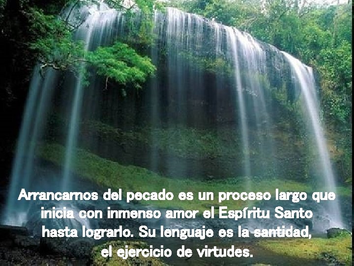 Arrancarnos del pecado es un proceso largo que inicia con inmenso amor el Espíritu