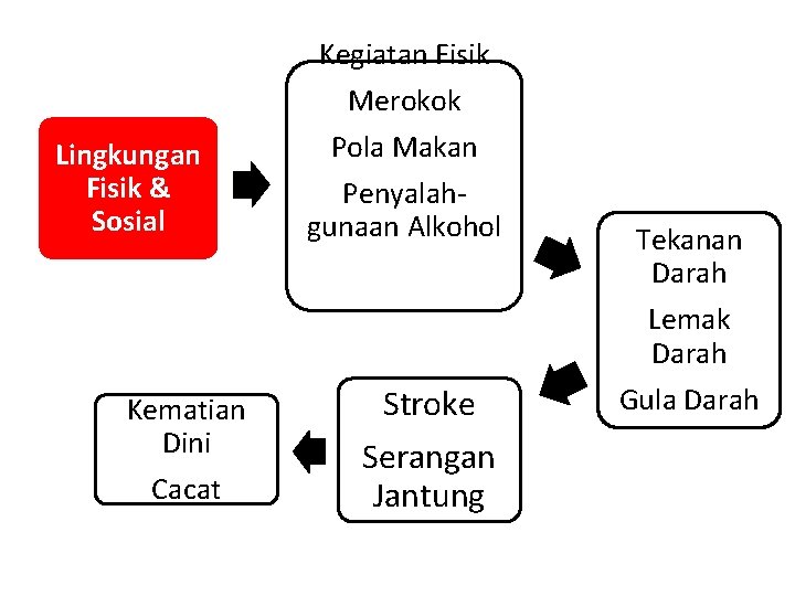 Kegiatan Fisik Merokok Lingkungan Fisik & Sosial Pola Makan Penyalahgunaan Alkohol Tekanan Darah Lemak