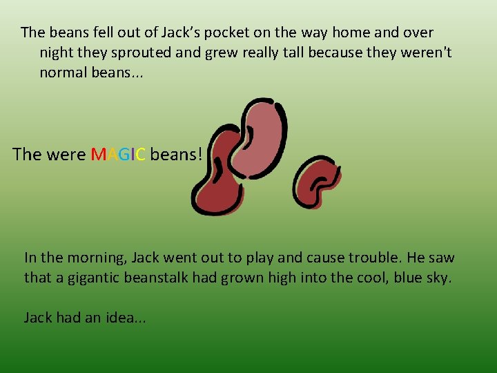 The beans fell out of Jack’s pocket on the way home and over night