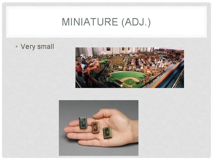 MINIATURE (ADJ. ) • Very small 