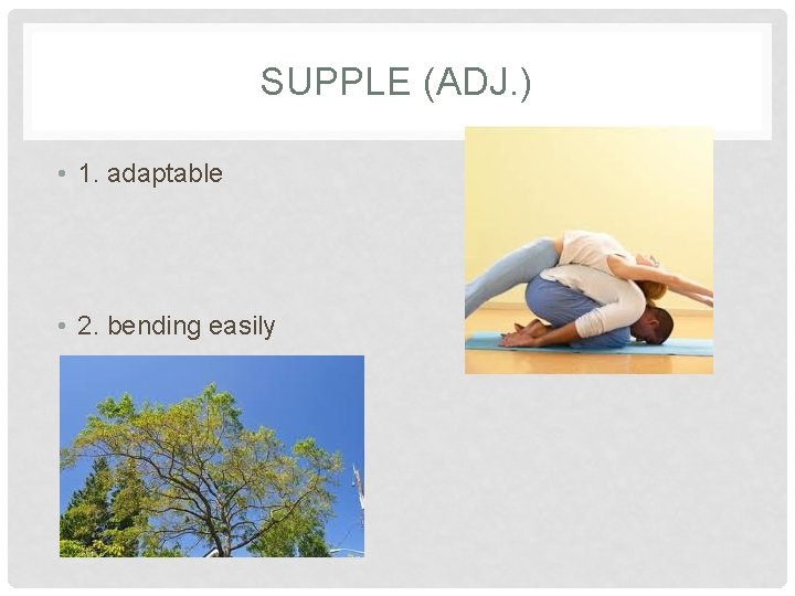 SUPPLE (ADJ. ) • 1. adaptable • 2. bending easily 
