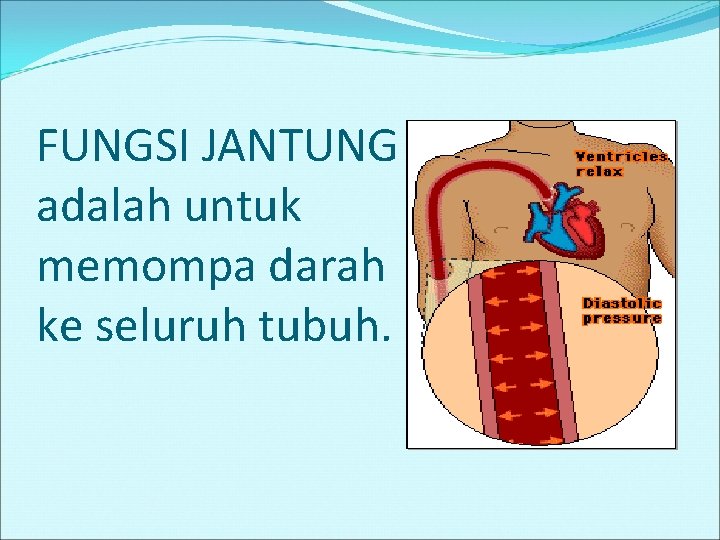 FUNGSI JANTUNG adalah untuk memompa darah ke seluruh tubuh. 