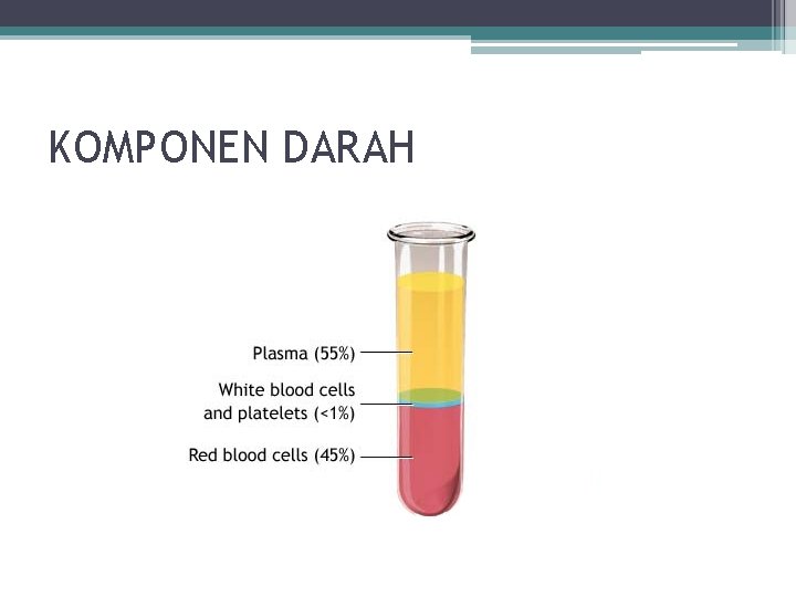 KOMPONEN DARAH 