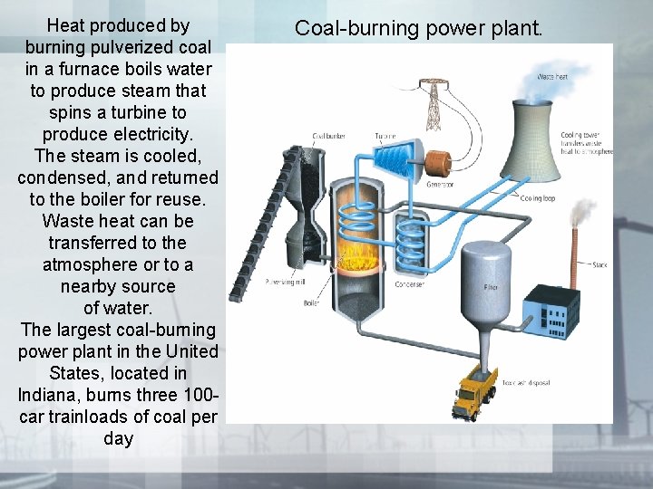 Heat produced by burning pulverized coal in a furnace boils water to produce steam